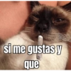si me gustas y que