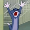 Tom 24