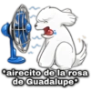 geysio *airecito de la rosa de Guadalupe*