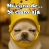 Mi cara de... Si claro ajá