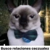 Busco relaciones ceczualez