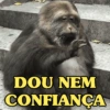 MACAQUINHA XINGXING 🐵🤎 10