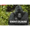 Goril 5