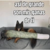 así de grande son mis ganas de ti