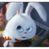 Snowball Rabbit 2 5