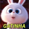 GATINHA