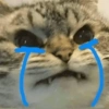 Gatos Tristes 3😿 22
