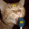 eu VC