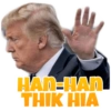 Trump :- The End 5