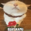 BUAT KAMU