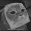 Gatitos sad 8
