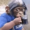 Reações de macaco | monkey 🐒 18
