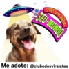 StickerAdoption  5