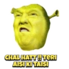Trump 8