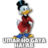 Donald Duck & Daisy Duck 8