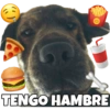 PERRITO CUTE 8