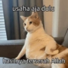usaha aja dulu hasilnya terserah Allah