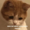 debí de haber cotorreado menos