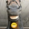 Shitposts para animar seu dia 10