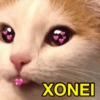 Memes que vc precisa ter 8