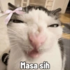 Masa sih