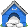Cute dog 🤍🦴🏠 Perro Blanco 7