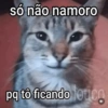 só não namoro @SoMeme Pala pq tô ficando louco
