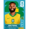 Álbum Copa 2026 BRASIL 🇧🇷 16