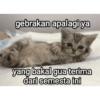 gebrakan apalagi ya yang bakal gua terima dari semesta ini