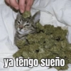 ya tengo sueño