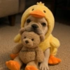 🐕Perros muy funny Dogs 🐶😂 14