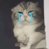 Gatos Tristes 3😿 19