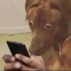 Реакции TikTok 3 😎 15