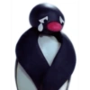 Pingüino Llorando
