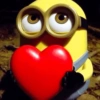 Amor 26