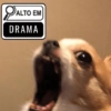 Reações Dogs & Cats🐱🐶 10