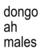 dongo ah males