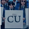 TEU CU