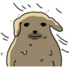 Dog 13