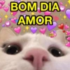 BOM DIA AMOR
