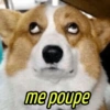 me poupe