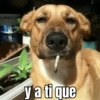 y a ti que