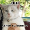 DIH KEREN LU BEGITU?
