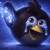 Angry Birds 13