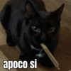 apoco si