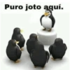 Puro joto aquí.