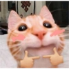 Stiker kucing with emoji kyut 2