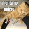 ahorita no quiero