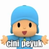 Pocoyo couple  16
