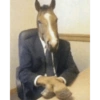 Memes random - Caballos 🤣 17